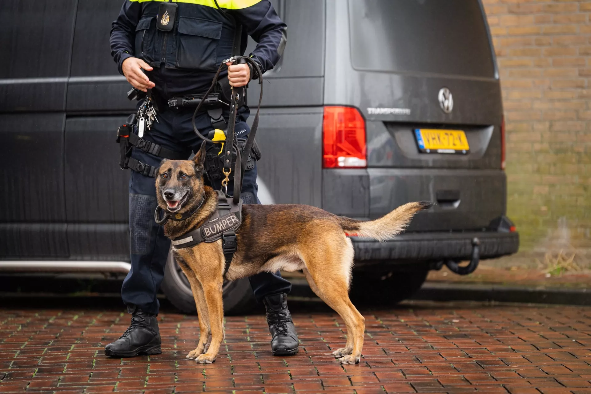 Een politieagent staat naast een diensthond voor een grijs busje.