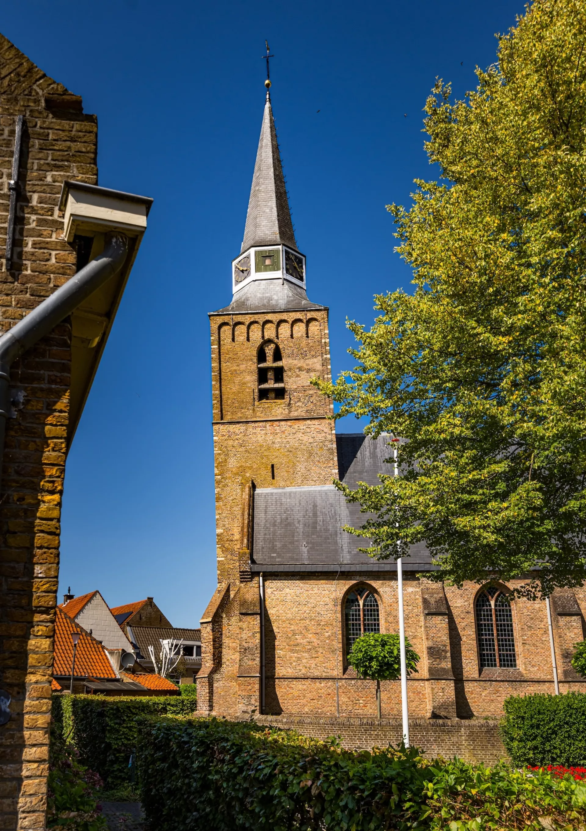 Bakstenen kerk met torenspits naast een groene boom onder een heldere blauwe hemel.