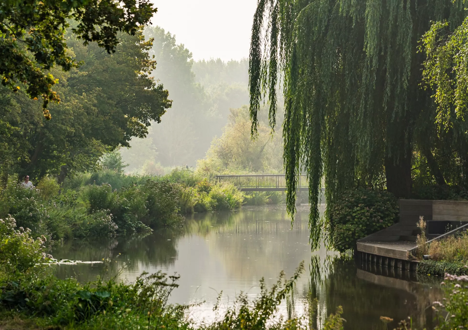 Rustige rivierlandschap met weelderige bomen en mistige achtergrond.