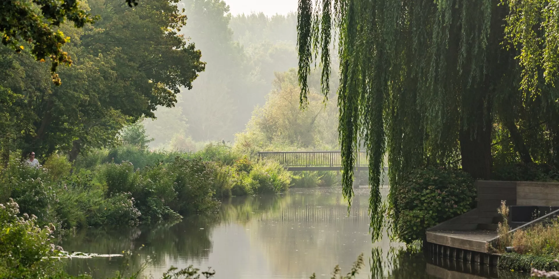 Rustige rivierlandschap met weelderige bomen en mistige achtergrond.
