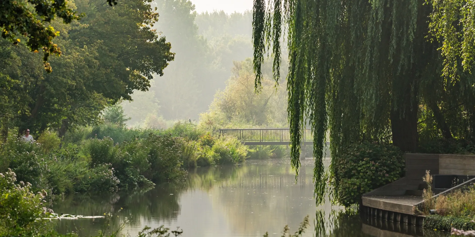 Rustige rivierlandschap met weelderige bomen en mistige achtergrond.